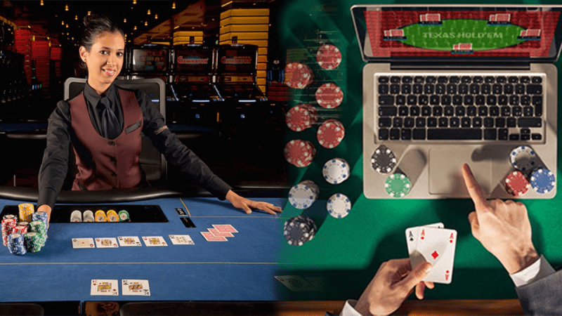 From Spins to Draws: Live Casino and Lottery Insights