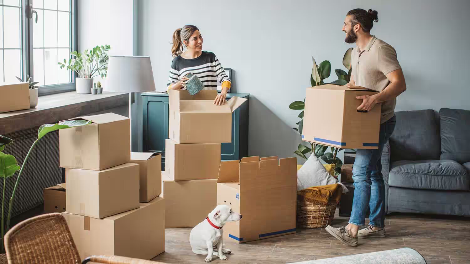 Exploring Moving Company Sales Jobs: A Career Path with Growth and Opportunity