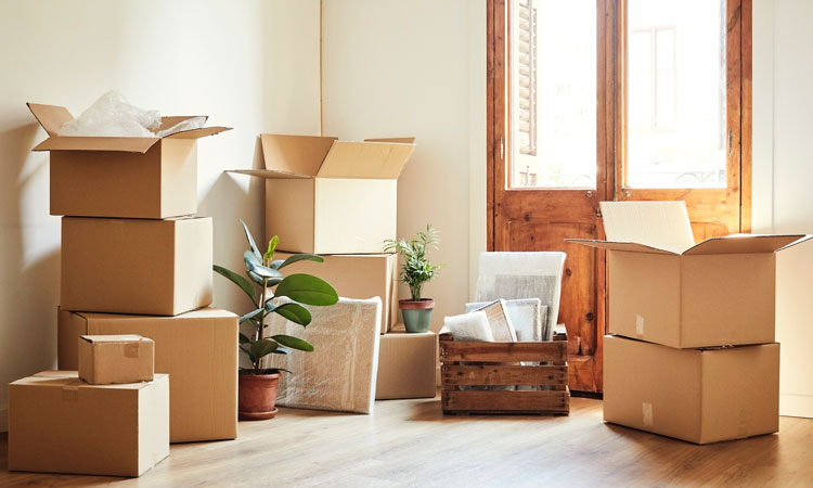 The Comprehensive Guide to Moving Services: What You Need to Know